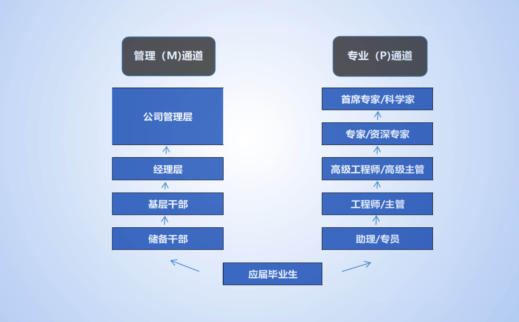 rl-zuomian rl-zuomian