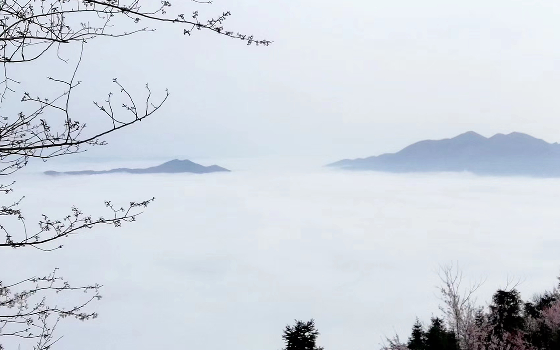 南宫集团(中国区)有限公司官网